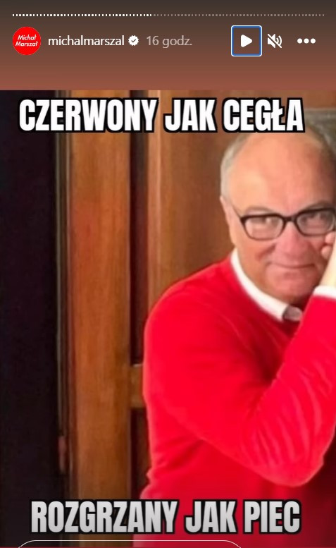 Mem polityczny