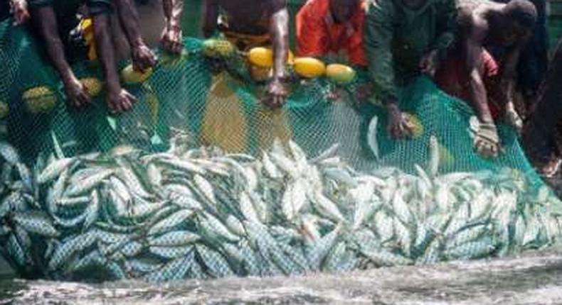 File photo: Fishermen