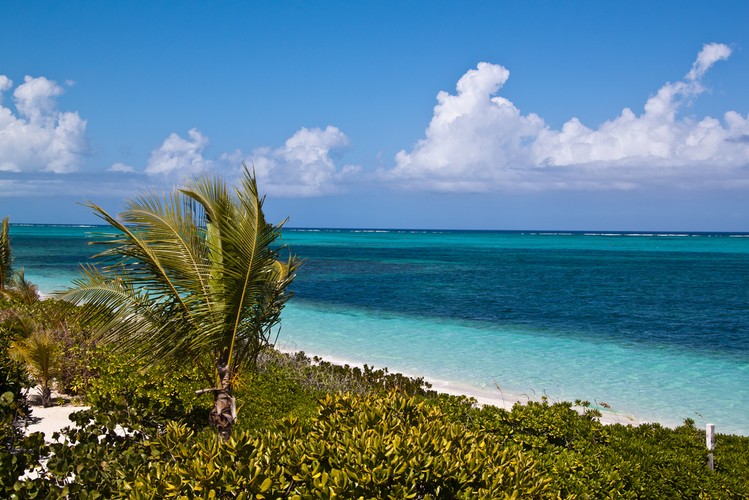 1. Plaża Providenciales, wyspy Turks and Caicos. Fot.flickr/timsackton