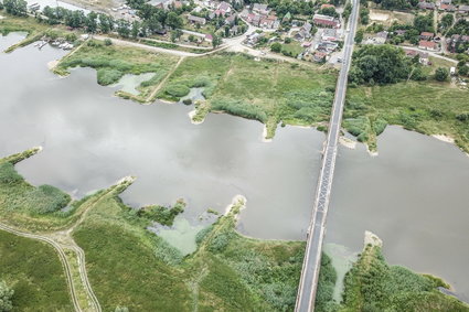 "Będziemy blokować mosty na Odrze". Katastrofa rujnuje im biznesy