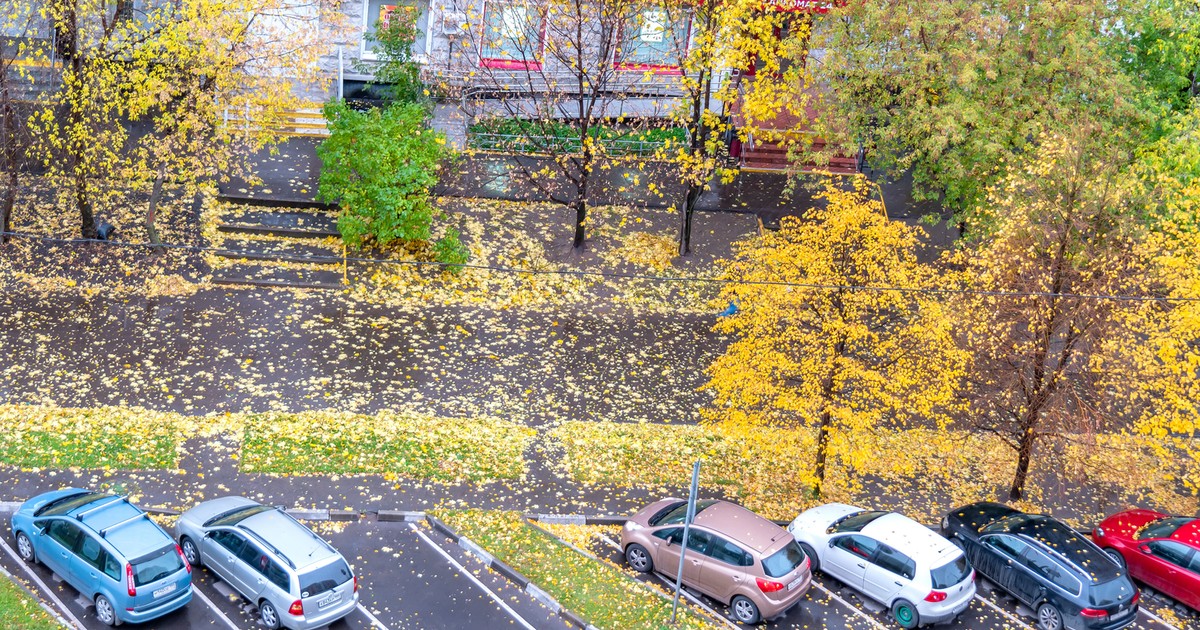 Za nami zimna noc, ale czy jesienna aura na dobre zagościła w Polsce? Synoptycy mówią wprost