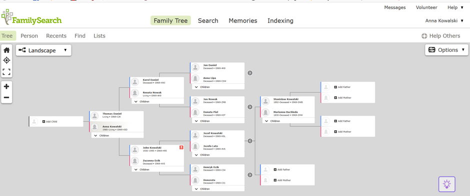 Zrzut ekranu drzewa genealogicznego na portalu familysearch.org