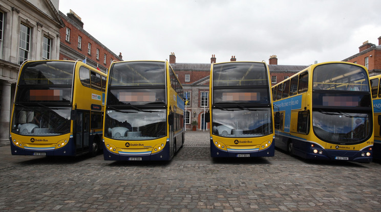 Dublini buszsöfőrök nyerték a 24 millió eurót / Fotó: Europress-Getty Images