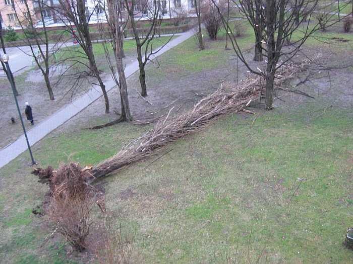 Zdjęcia z Krakowa. Osiedle Podwawelskie.