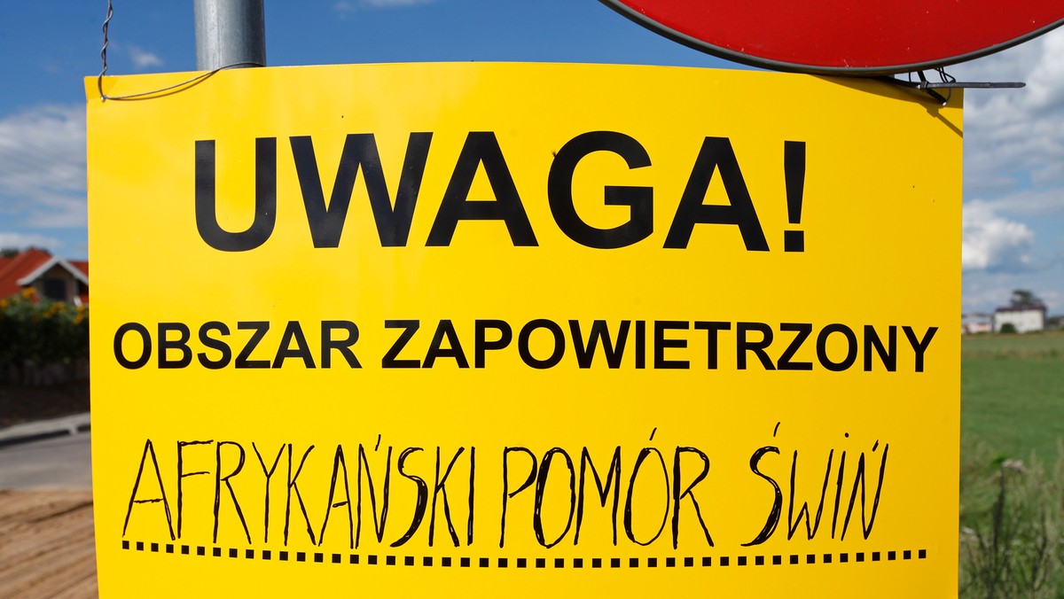 14. ognisko afrykańskiego pomoru świń (ASF) w Polsce stwierdzono u świni w gospodarstwie w gminie Leśna Podlaska (Lubelskie). Służby weterynaryjne apelują do rolników, by nie kupowali świń o niewiadomym pochodzeniu i przestrzegali zasad bioasekuracji.