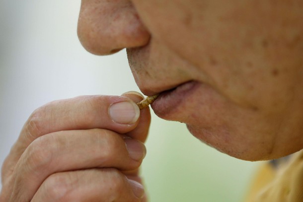 A man tastes a edible mealworm in Seoul