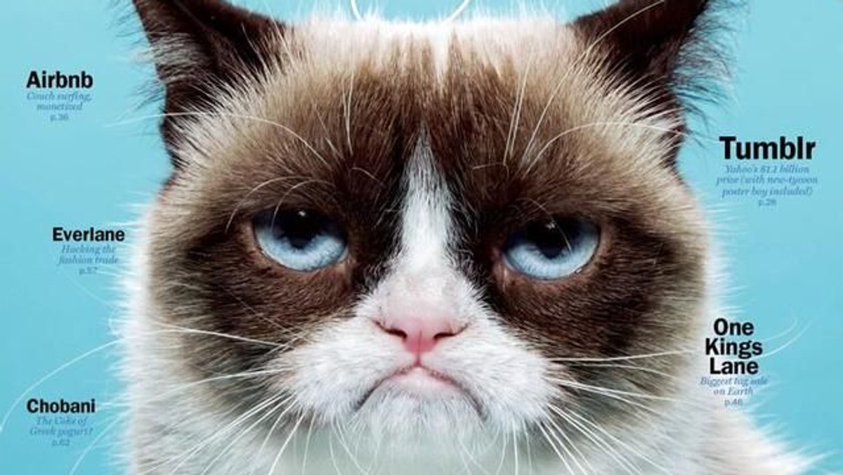 Grumpy Cat, najpopularniejsze zwierzę w Internecie