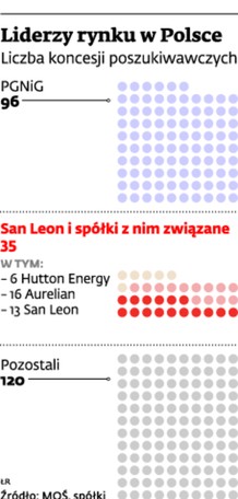 Liderzy na rynku w Polsce