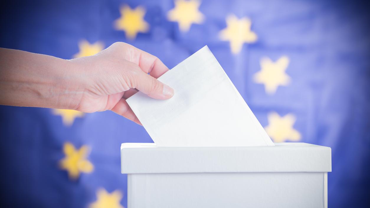 Hlasovať môžu len občania s trvalým pobytom na Slovensku (ilustračné foto).