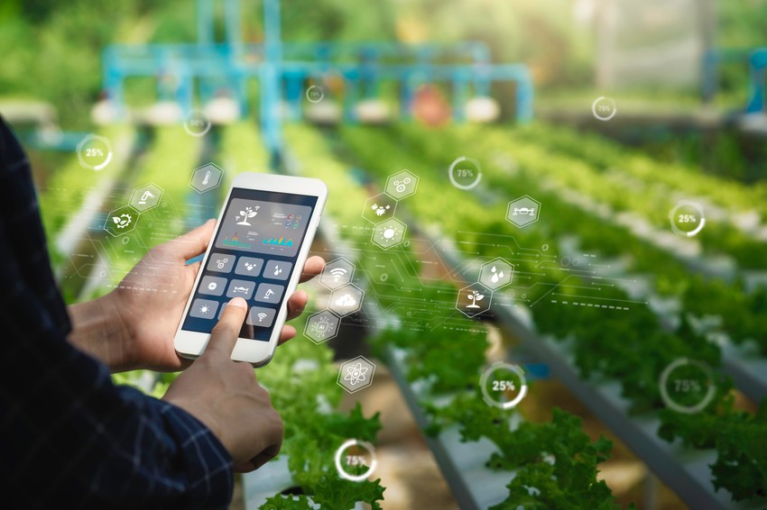 Početna ulaganja za mali obim proizvodnje procenjuju se na oko 130 do 400 evra,