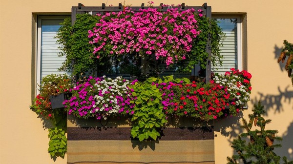 Konkurs Warswzawa w kwiatach rozstrzygnięty