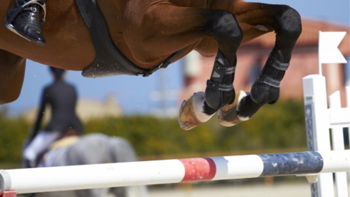 Kamil Grzelczyk na koniu Wibaro wygrał drugą eliminację jeździeckiego Grand Prix Polski Totalizatora Sportowego. Liderem całego cyklu został Michał Ziębicki, który w Silesia Equestrian zajął trzecie miejsce.