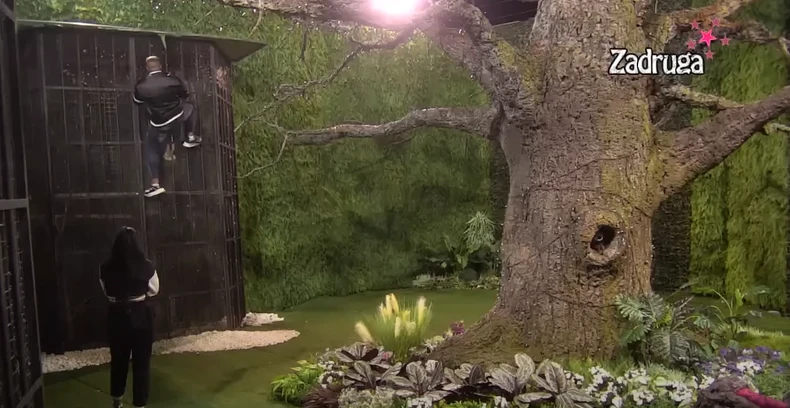 Robert i Sneža beže iz Zadruge