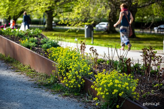 Park Centralny w Gdyni w kolorowej odsłonie [ZDJĘCIA]