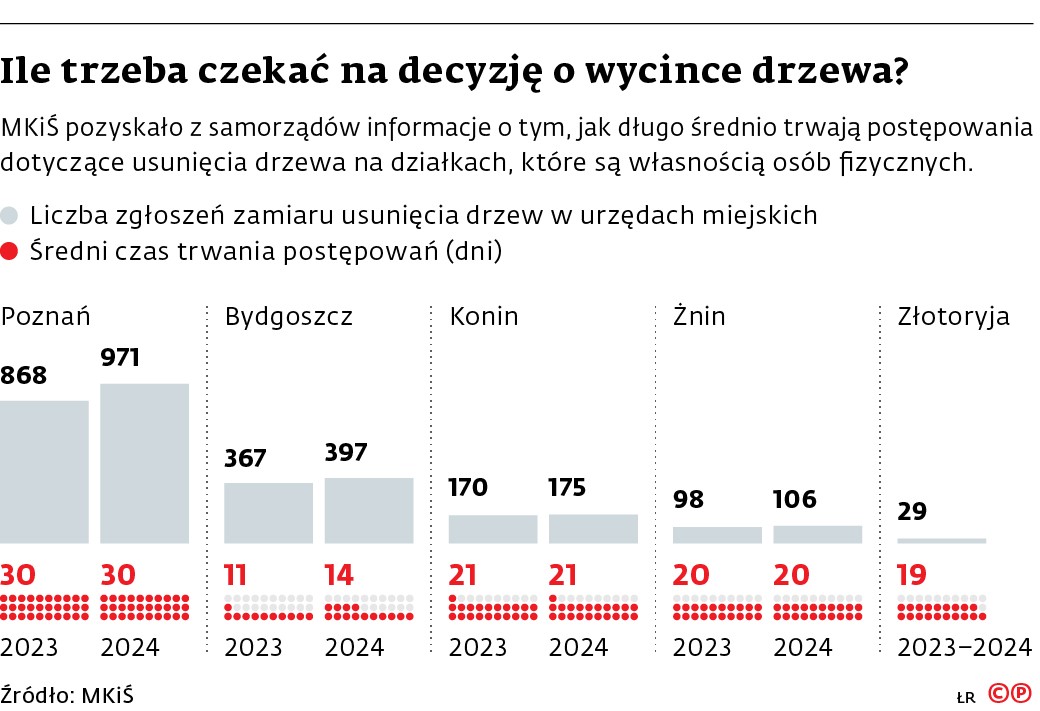 Ile trzeba czekac na decyzje o wycince drzewa