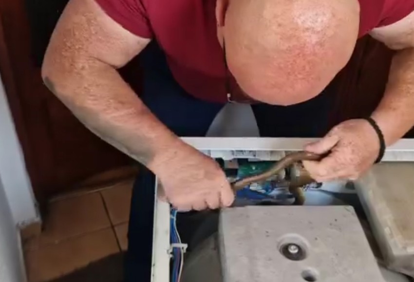 Zmije u veš mašini