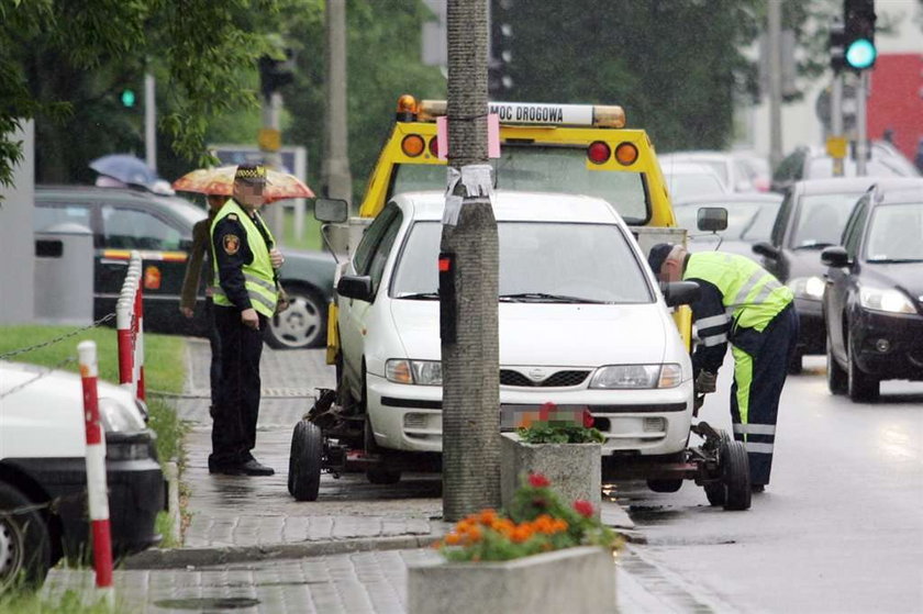 Menele rządzą miastem, a strażnicy gnębią kierowców