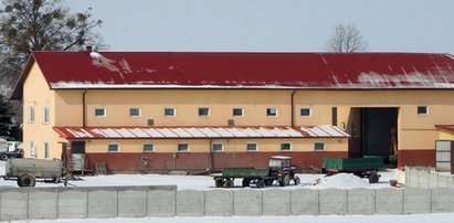 Policja na tropie padliny