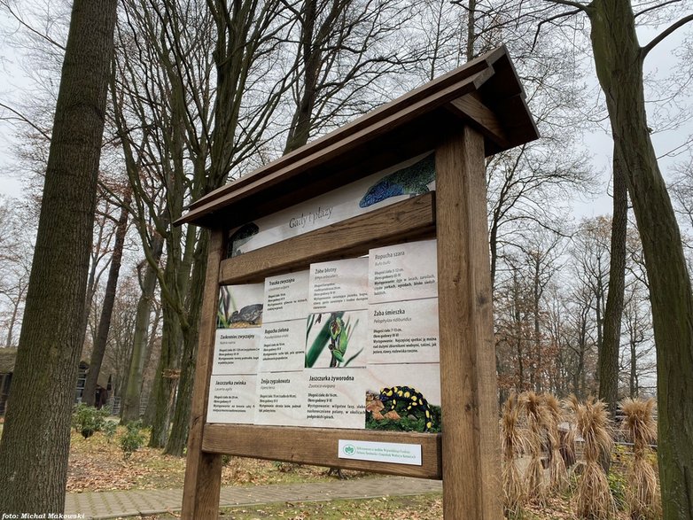 Ścieżka przyrodniczo-edukacyjna „Tajemnice Pszczyńskiej Puszczy” w Pokazowej Zagrodzie Żubrów w Pszczynie - 02.12.2022 - autor: Michał Makowski