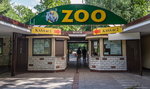 Ewa Zgrabczyńska nową dyrektor poznańskiego zoo