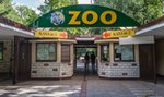 Ewa Zgrabczyńska nową dyrektor poznańskiego zoo