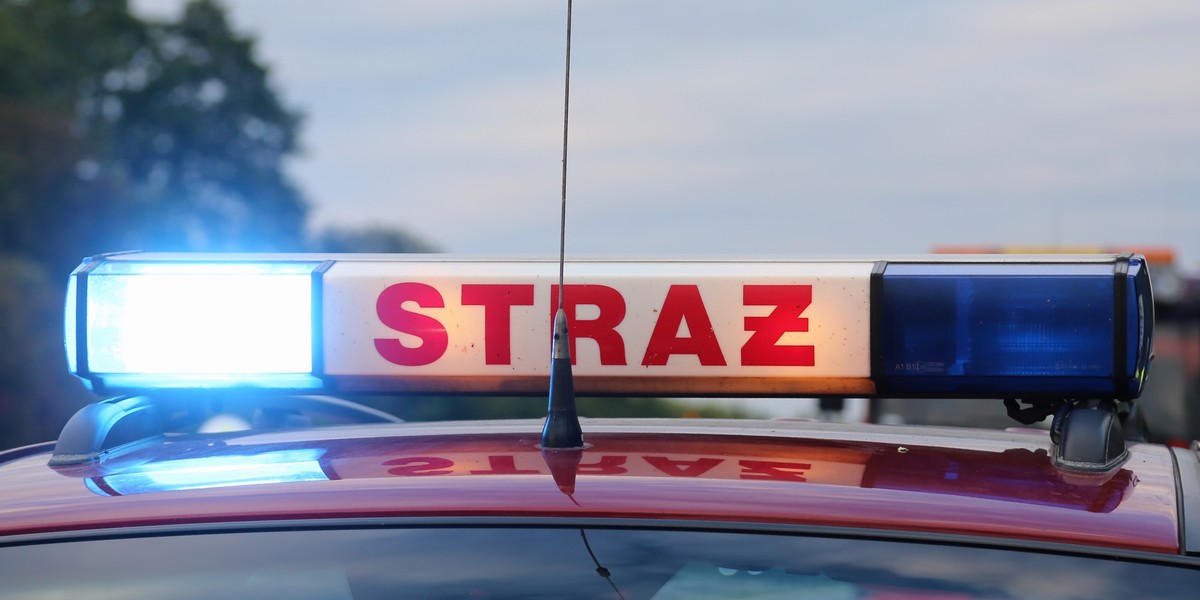 siestrzeń wypadek polski bus