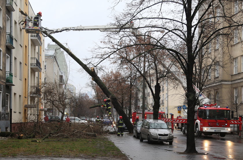 Drzewo wbiło się w blok. Potrzebna była interwencja strażaków.