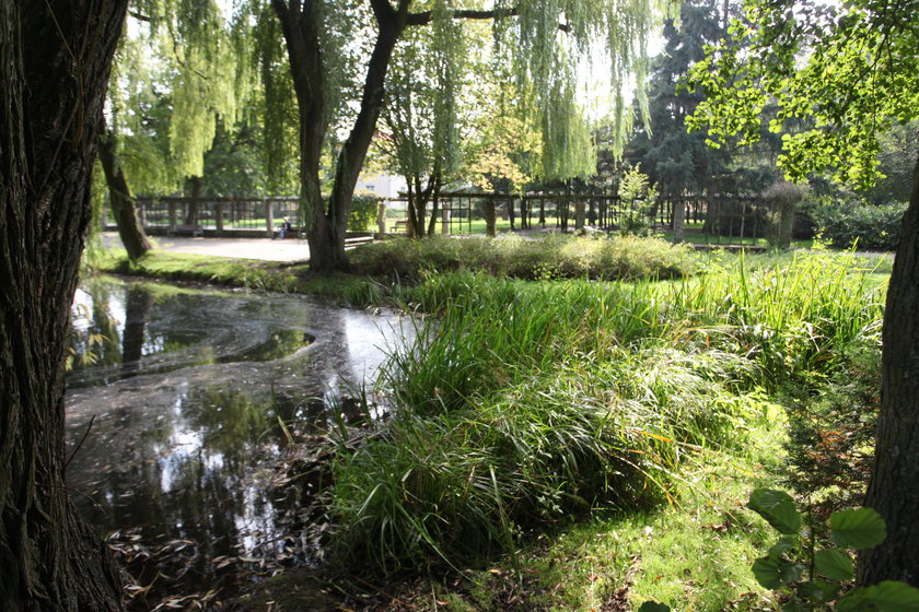 Park Oruński 