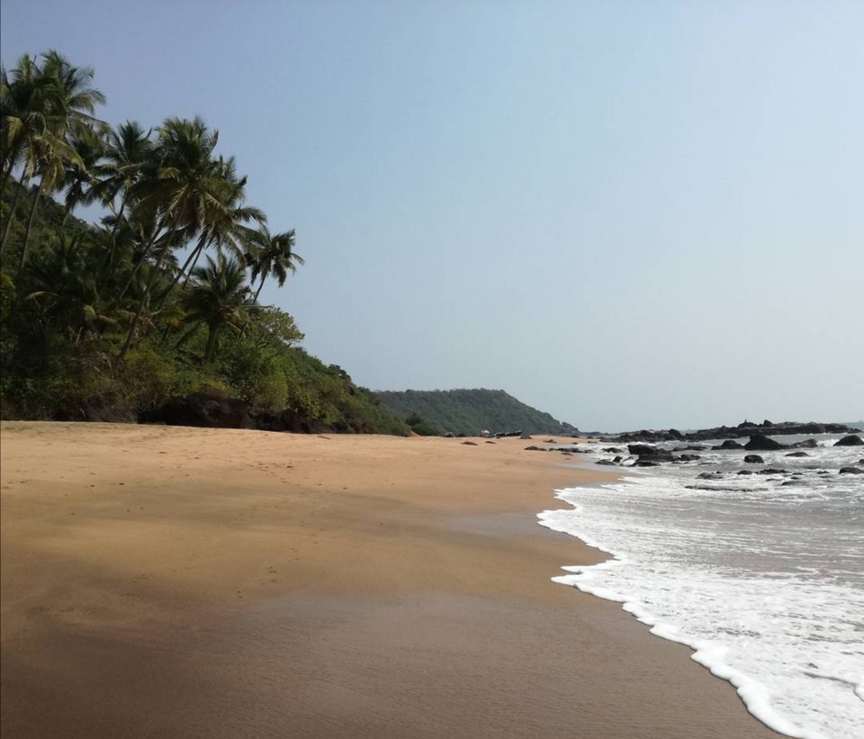 Plaża Kola, Goa