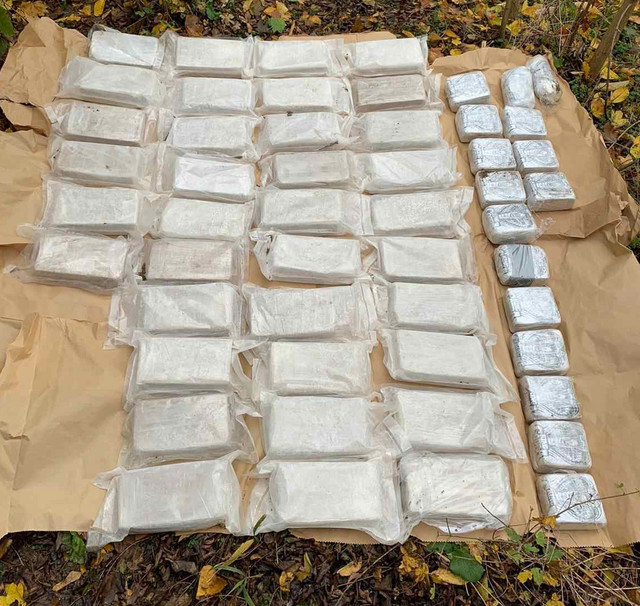 Heroin seized from Mladenovac's group