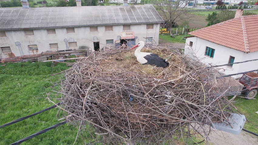 Roda na banderi u Miločaju očekuje prinovu