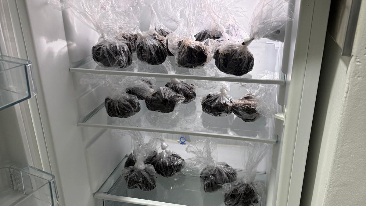 Zaplenjena droga u Novom Sadu 