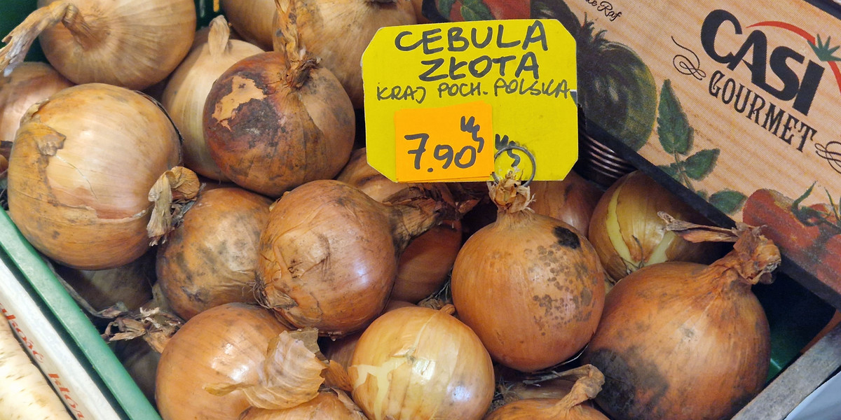 Cebula