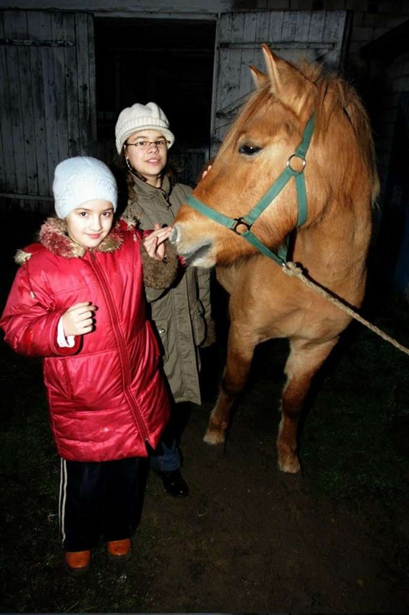 Konik nas pociesza