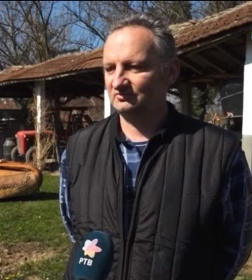 Mikica Dimitrijević