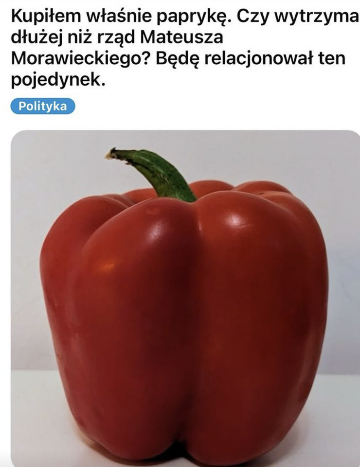 Najlepsze memy o nowym rządzie