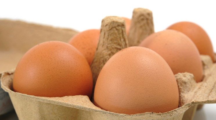 Ezért nem tartják hűtőben a boltban a tojást / Fotó: Northfoto