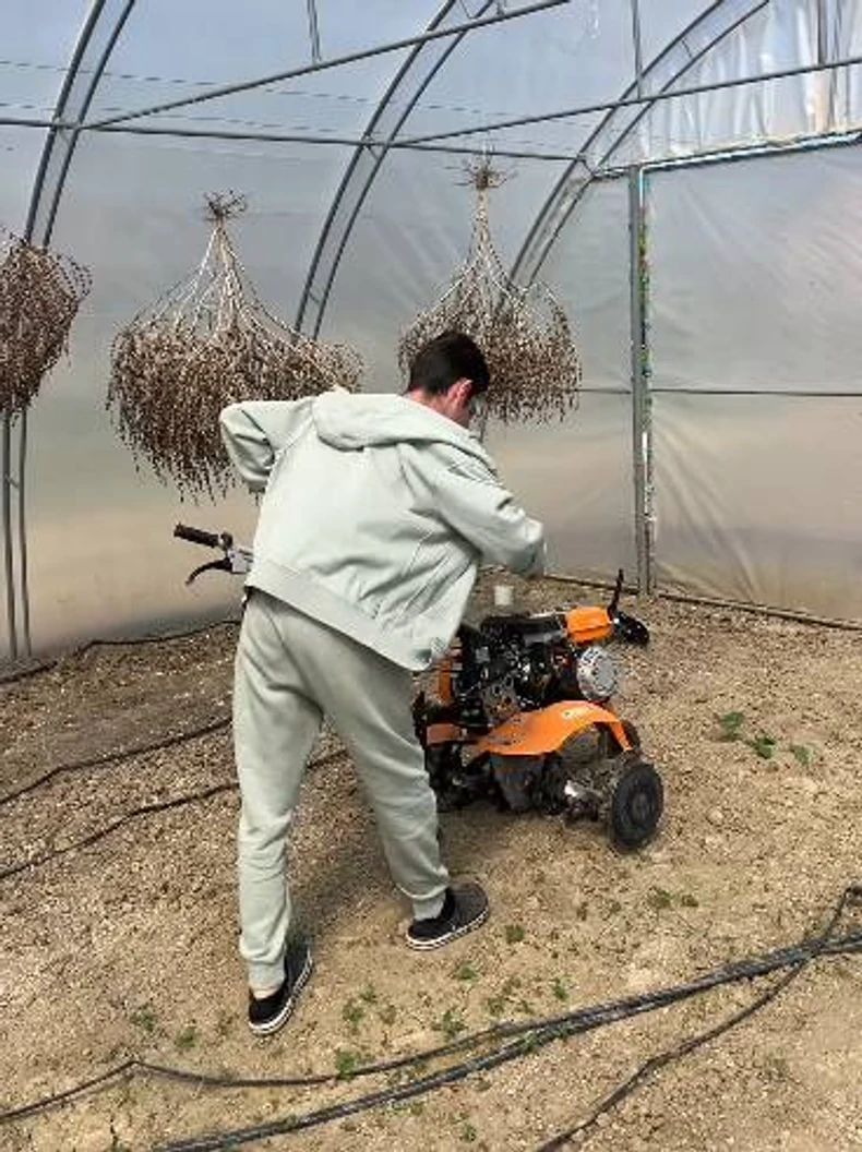 Branko Babić, objava