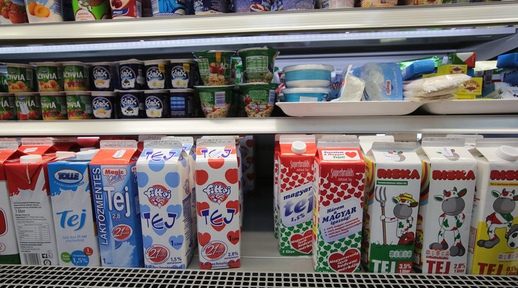 Csökken a tej ára, ám a magyar termelők még mindig nehéz helyzetben vannak / Fotó: Gy.Balázs Béla