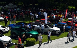 Alfa Romeo błyszczała na zlocie Forza Italia 2023