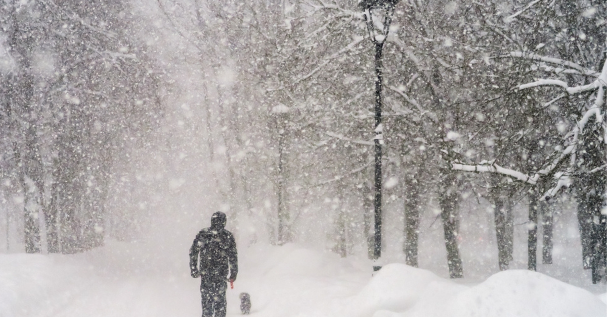 Pogoda – opady śniegu sparaliżowały Polskę. Gdzie sytuacja jest najgorsza?