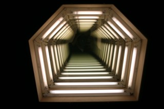 Niepewne dziedzictwo. Alina Ślesińska i polityczne cienie współczesnej sztuki