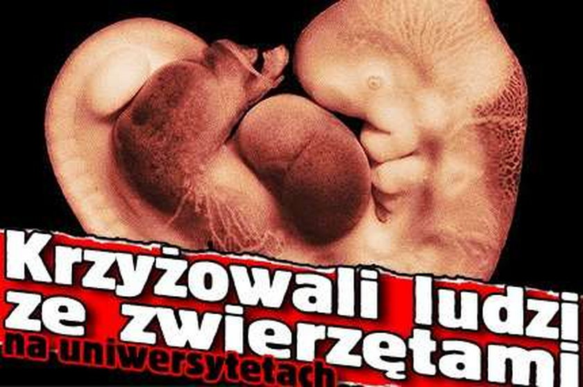 Krzyżowali ludzi ze zwierzętami na uniwersytetach