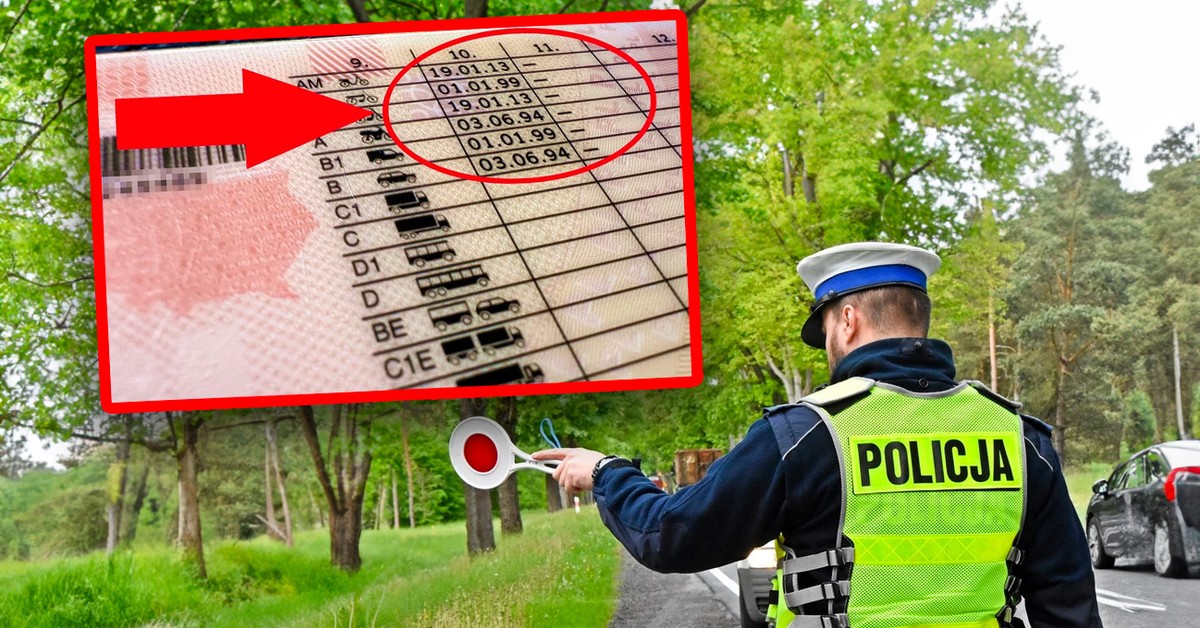 Krótsze prawa jazdy dla seniorów. Ministerstwo z jasnym stanowiskiem