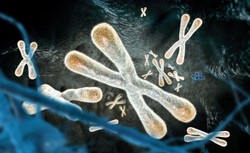 To znaczące odkrycie dla rozumienia procesu starzenia, zapaleń i raka...