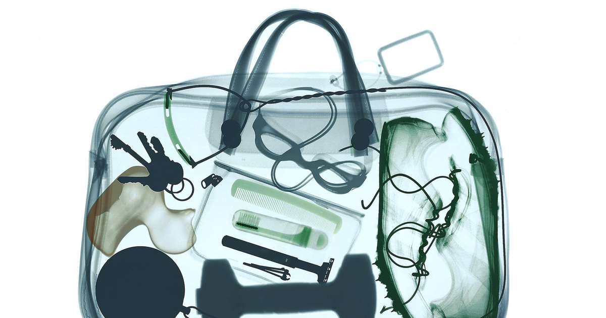 The weirdest items TSA agents are trained to catch when they're