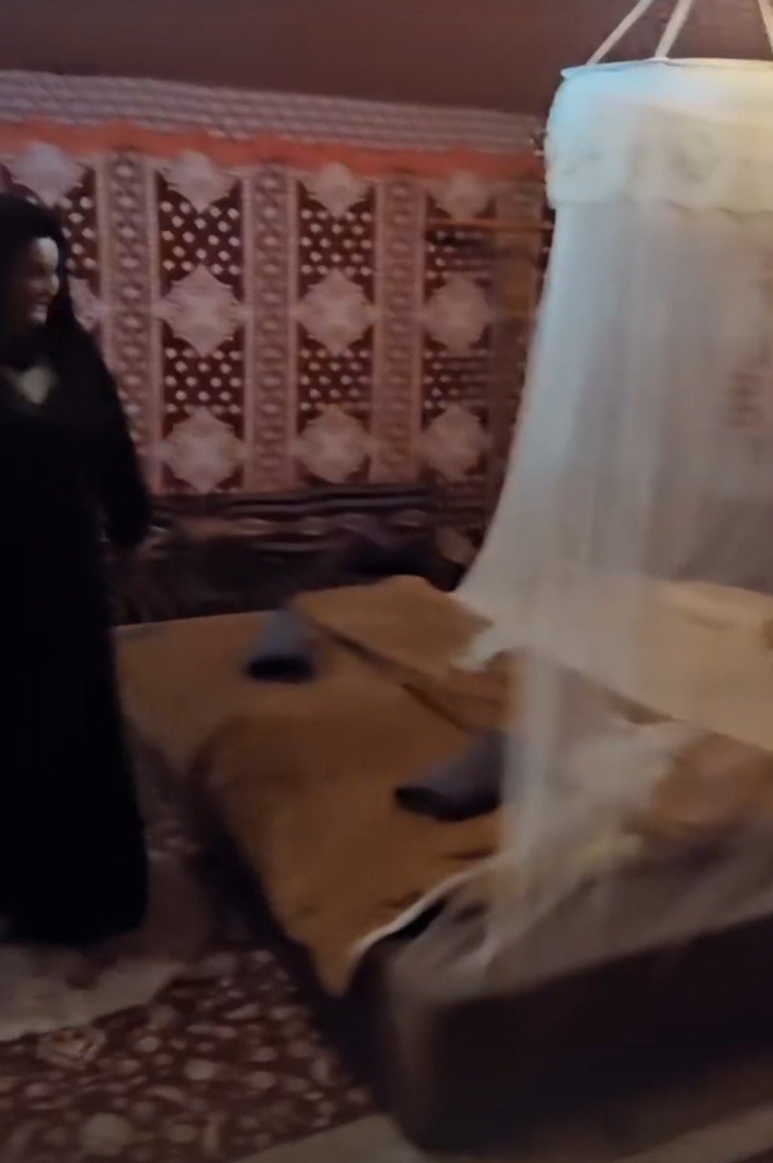 Dragana Mirković, objava