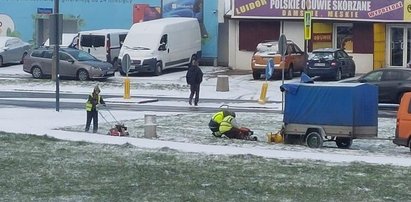 Kuriozalne sceny w Warszawie. Zaczęli kosić zaśnieżony trawnik!