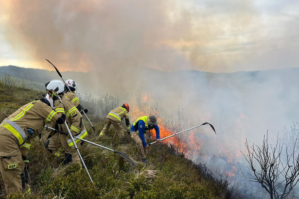 Pożar na terenie Bieszczadzkiego Parku Narodowego