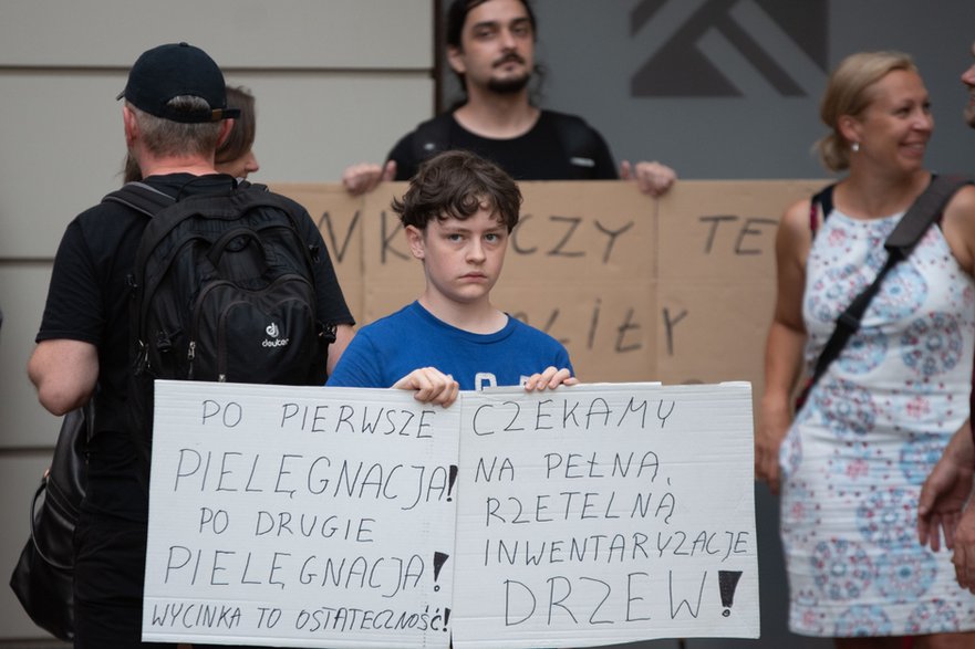 Protest w obronie drzewa przy ulicy Lipowej